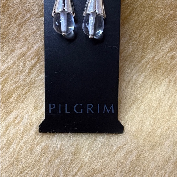 Pilgrim Set of 2 Silver Tone and Clear Glass Charms - Picture 2 of 4